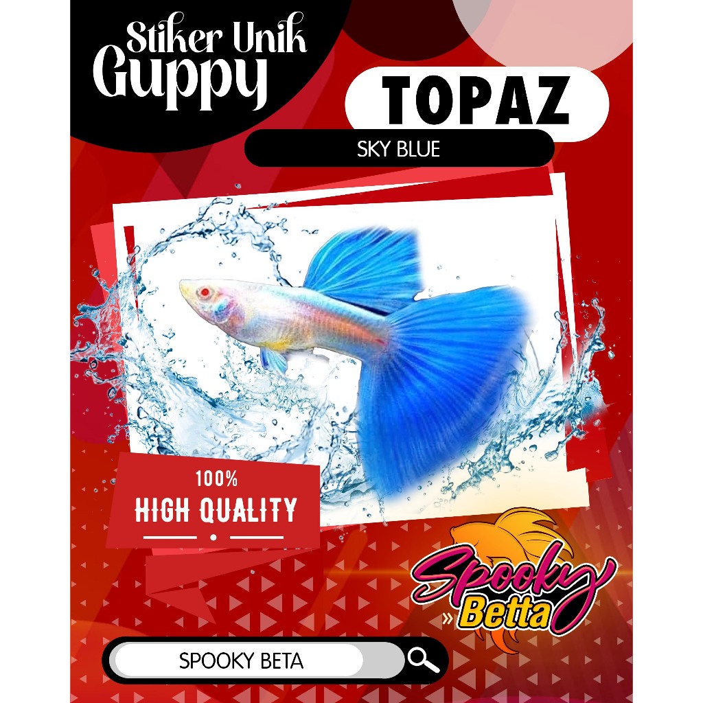 Paket Breeding GENETIK Ikan Guppy Topaz ( SKY BLUE )