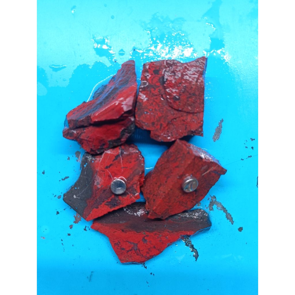 Natural Badar Besi Merah Super