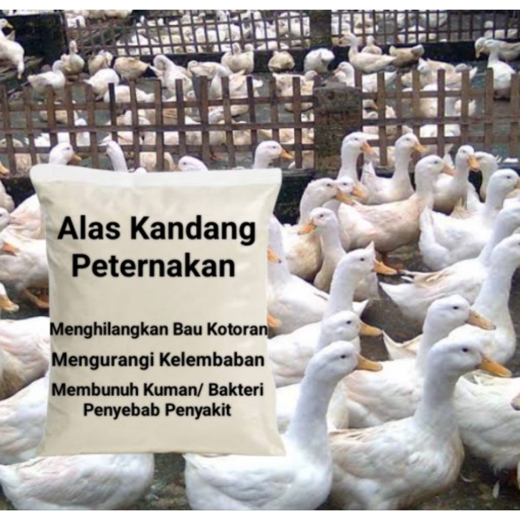 Desinfektan Alami Untuk Alas Kandang Bebek 500gr Mencegah Bau Amonia