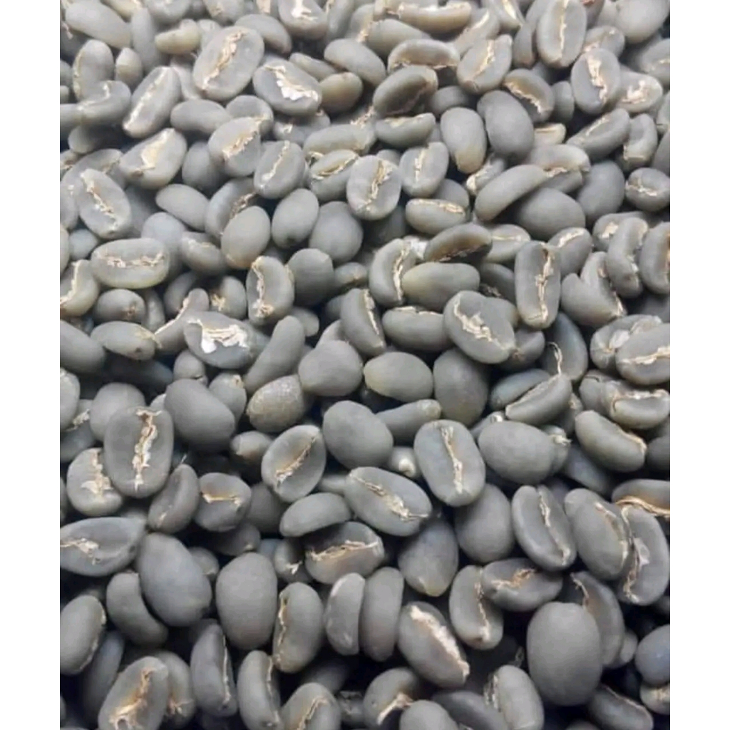 Green bean (GB) kopi mentah arabika garut papandayan proses full wash sortiran siap roasting