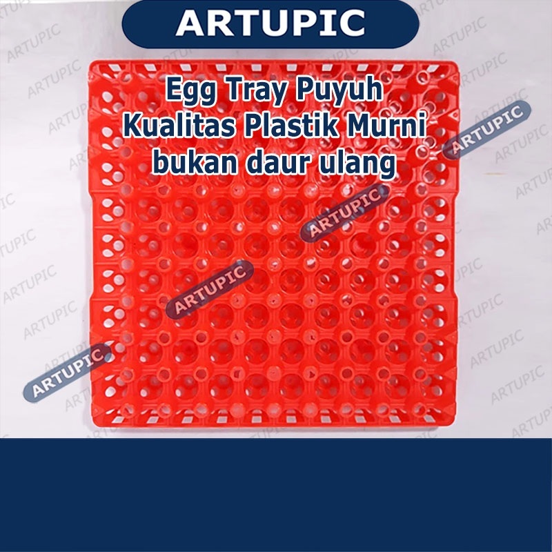 Egg Tray Puyuh Rak Tetas Tempat Telur Burung Puyuh Plastik