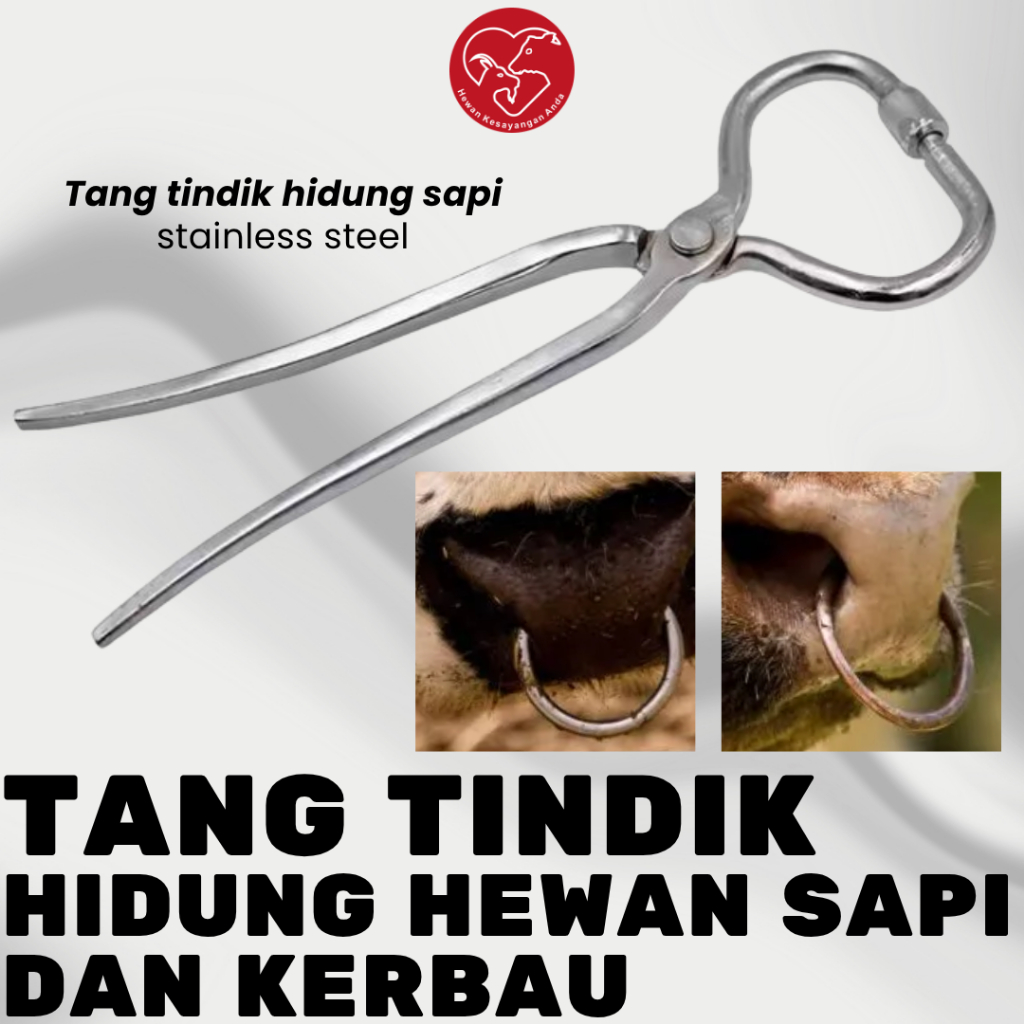 Tang Hidung Sapi Alat Tindik Hidung Sapi Kerbau dll