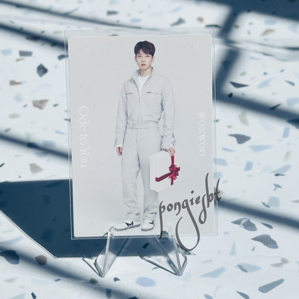 Photocard Official Seventeen Wonwoo TC Japan