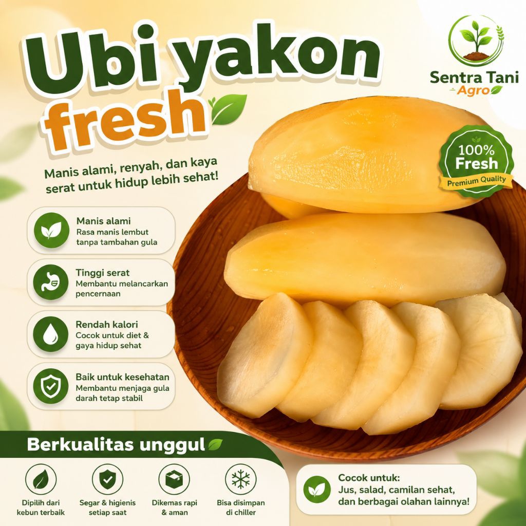 Ubi Yakon Fresh 1kg Manis Renyah Bisa Dimakan Langsung | Ubi Yakon Premium