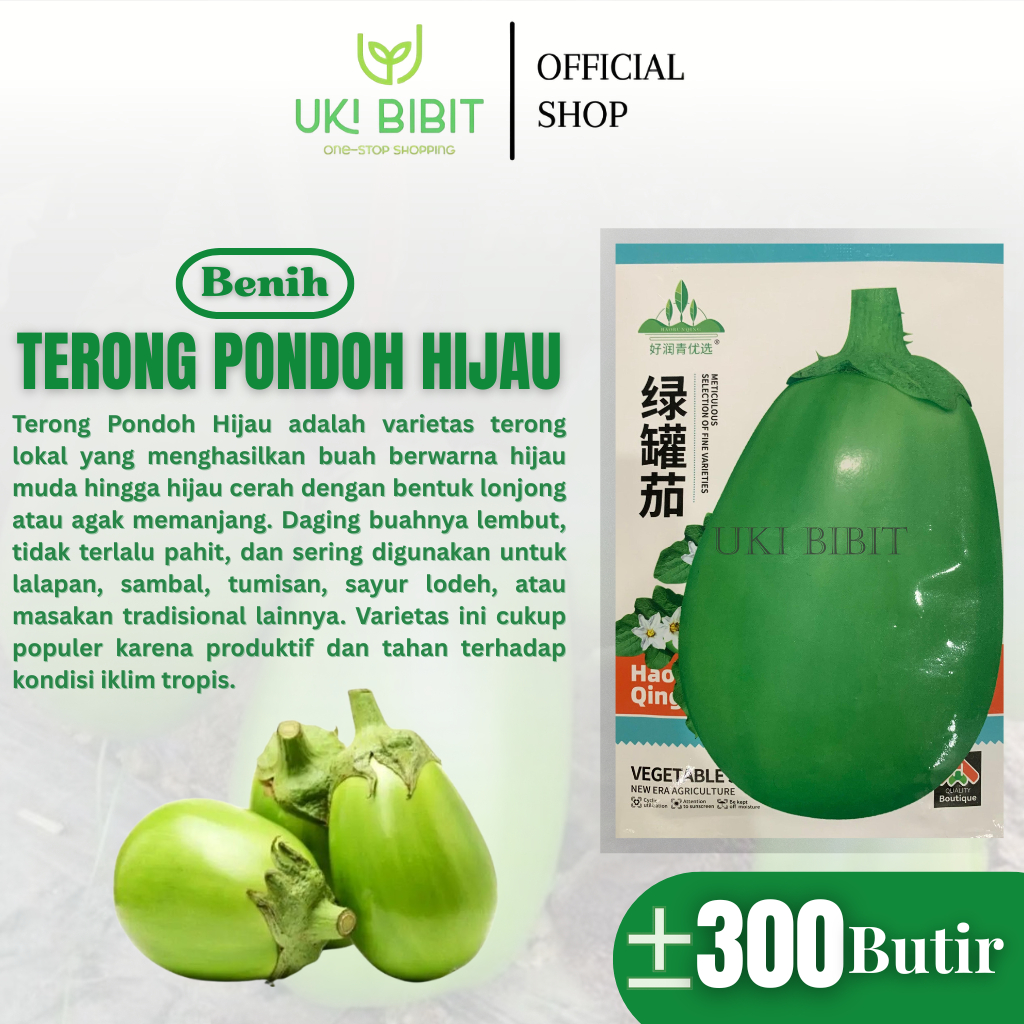 Kemasan Original | Benih Biji Terong Pondoh Hijau | Terong Hijau Jumbo Jepang