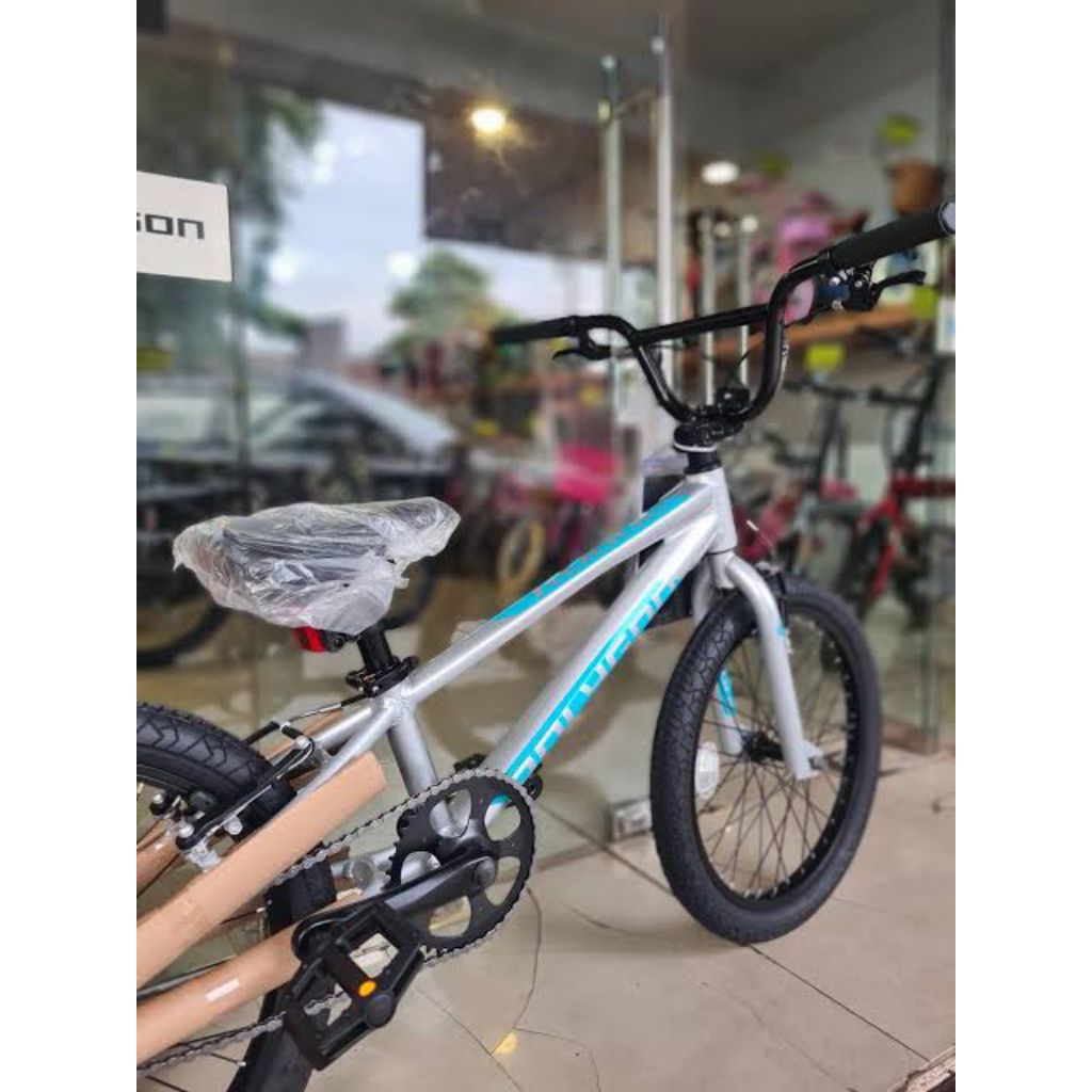 sepeda Polygon BMX Rogue 20