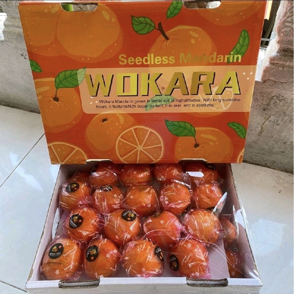 Jeruk Wokara Mandarin Segar Tanpa Biji / Jeruk Wokara Tanpa Biji / dus