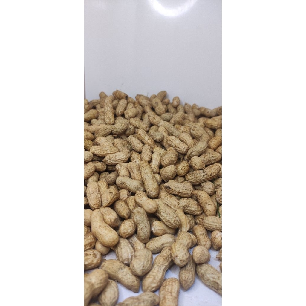kacang tanah kulit (mentah)