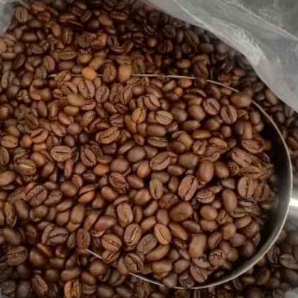 rumah hijau - roastbeans arabika gayo qty 1kg
