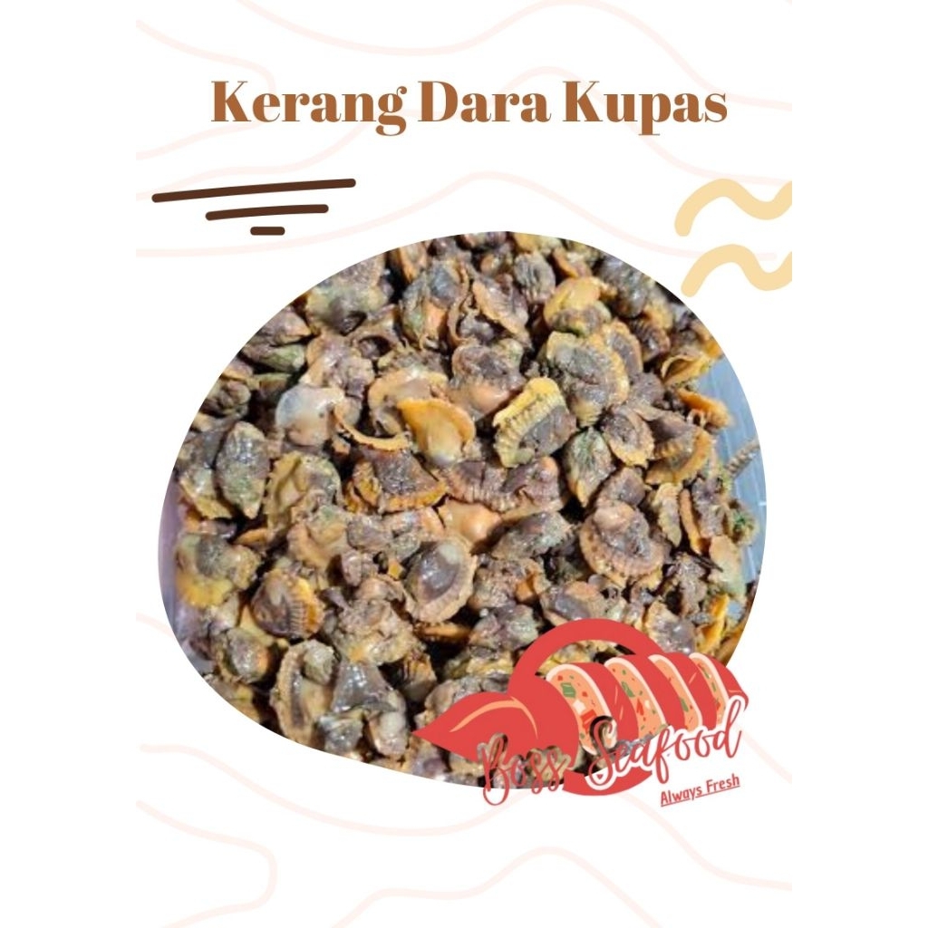 Kerang Dara Kupas 1kg