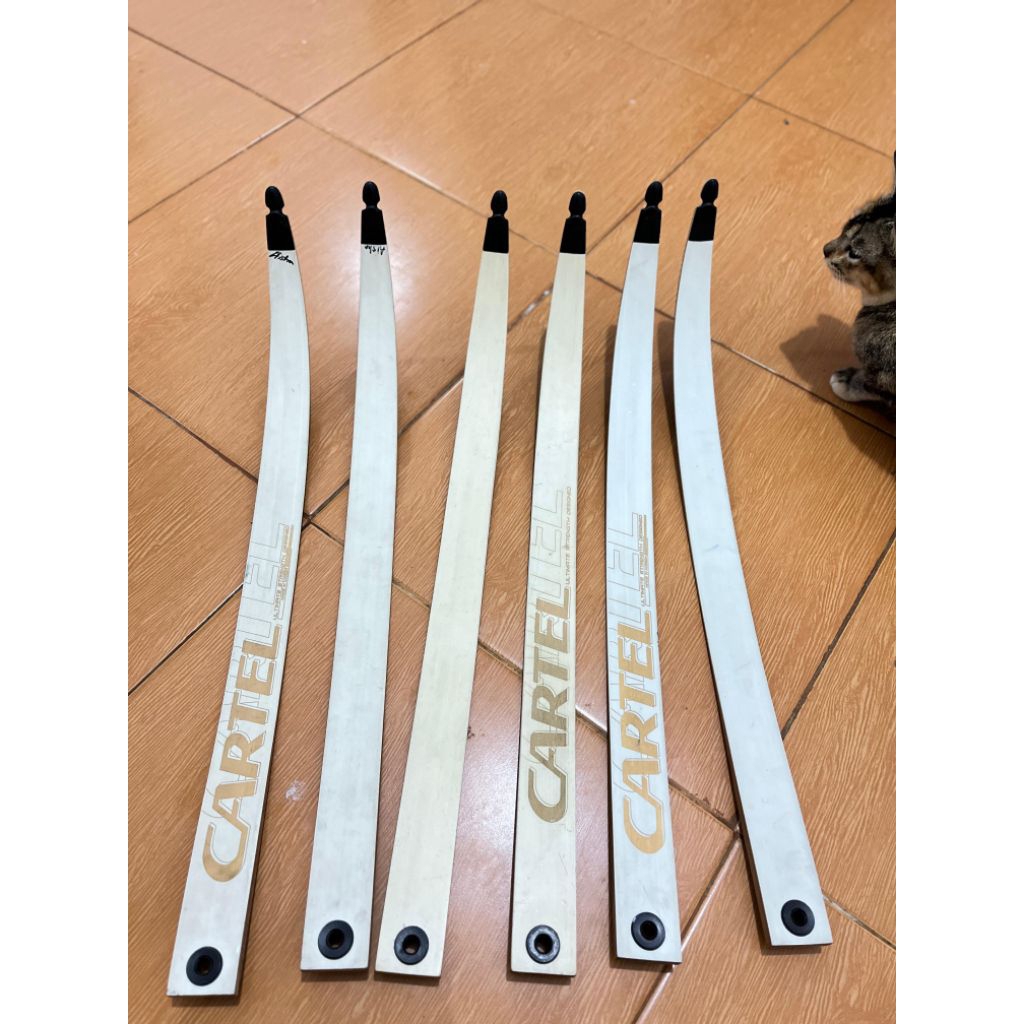 limb cartel seken
