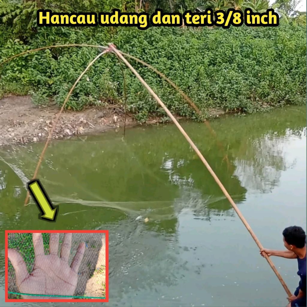 jaring anco senar putih lubang 3/8 inch lebar 2×2 meter persegi ,sirib ikan, Anco,,branjang