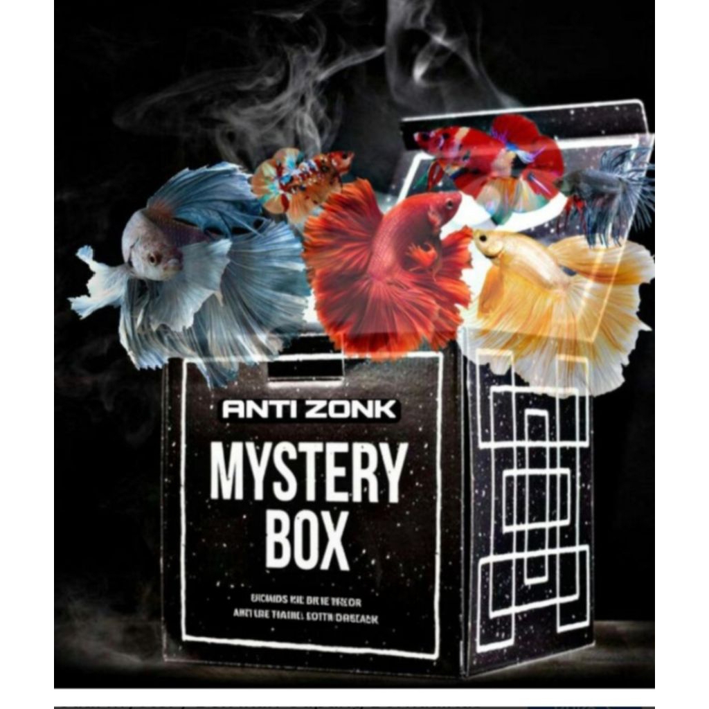 IKAN CUPANG MYSTERY BOX DAN BAGUS