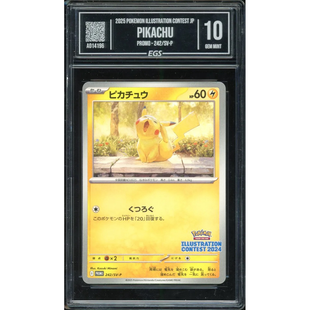 Pikachu Illustration Contest 2024 EGS 10