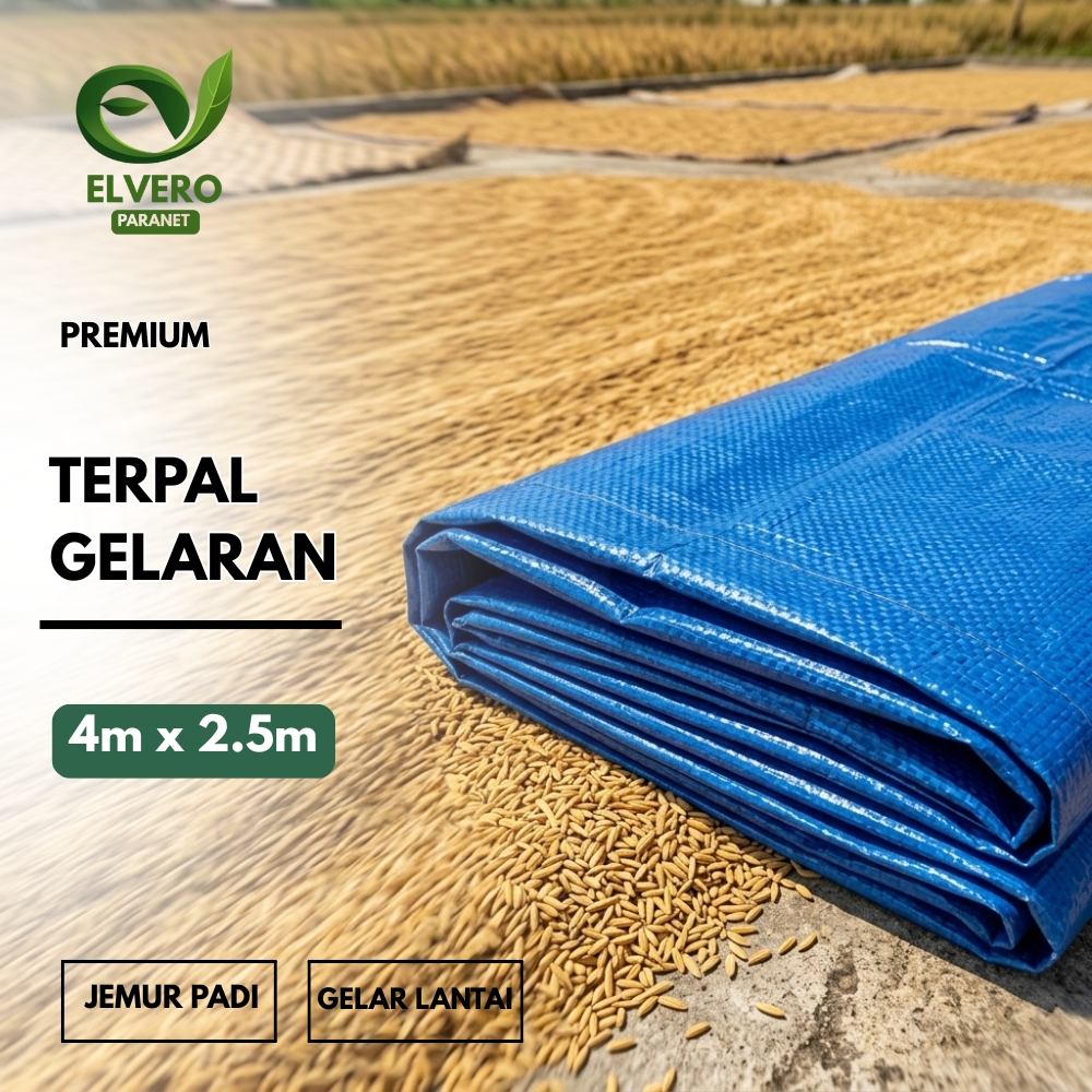 Terpal Plastik Lembaran Hamparan Jemur Padi Gelaran Gabah