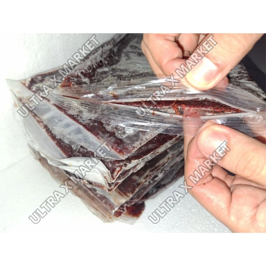 CACING MERAH BEKU FROZEN @250 GRAM - CABEK / BLOODWORM - PAKAN IKAN