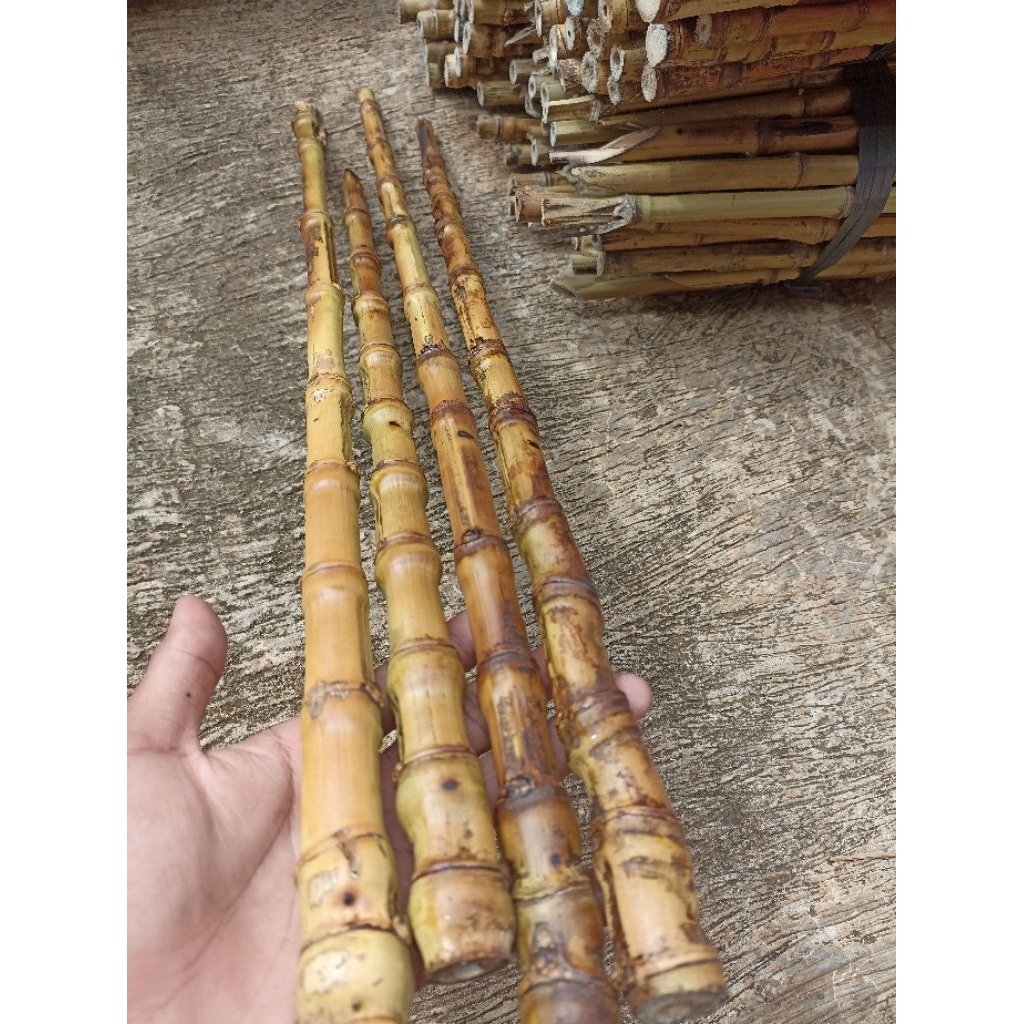 Gagang pancing bambu cendani panjang 55-60 cm