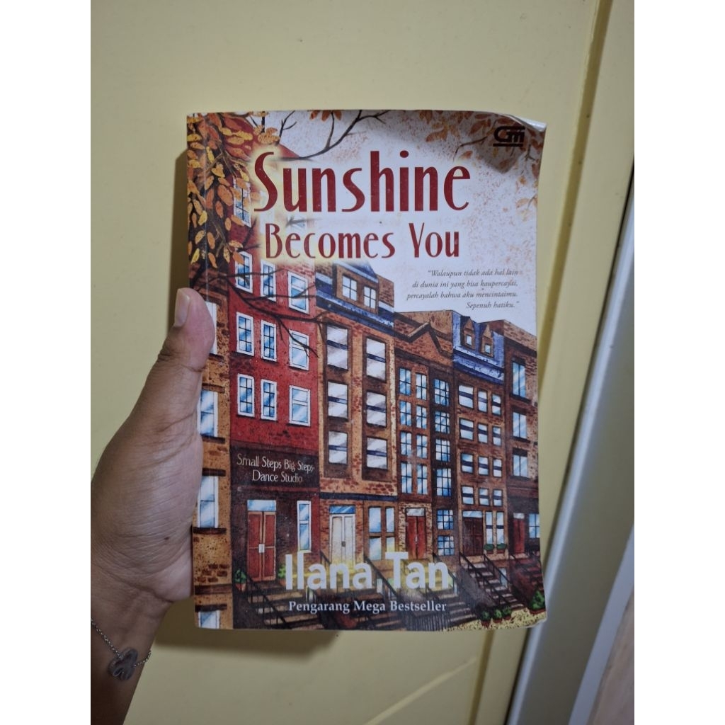 Preloved Novel Sunshine Becomes You - Ilana Tan