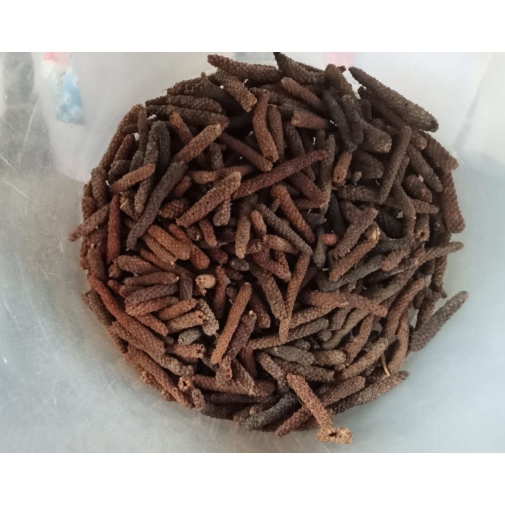 CABE JAWA Javanese long pepper (Piper retrofractum Vahl)/CABAI JAWA/CABA PUYANG/ CABE JAWA/CABE PUYA