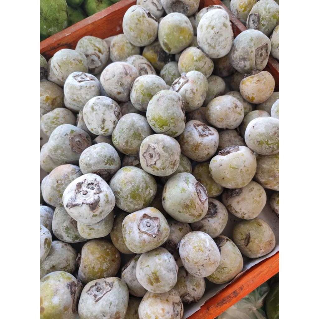 Kesemek 1kg, banjarnegara