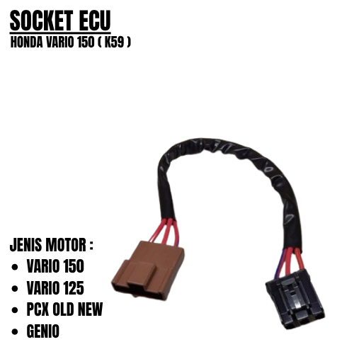 SOCKET ECU VARIO 150 K59