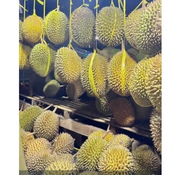 Durian utuh