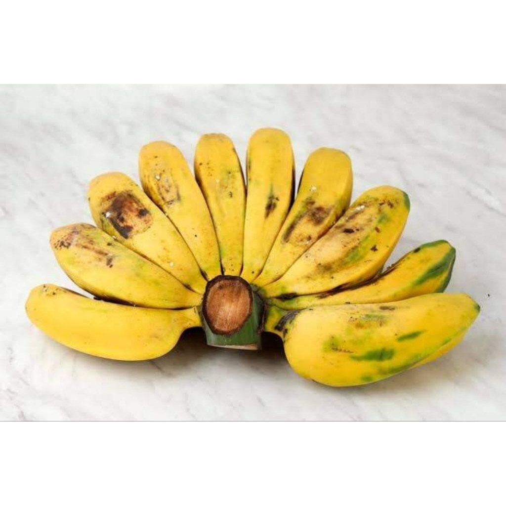 Pisang kepok kuning