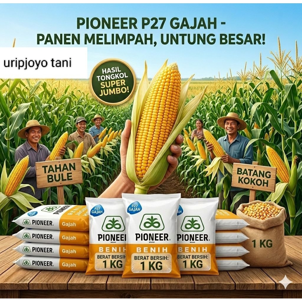 paket hemat 5pcs benih hibrida p27 gajah lumigen