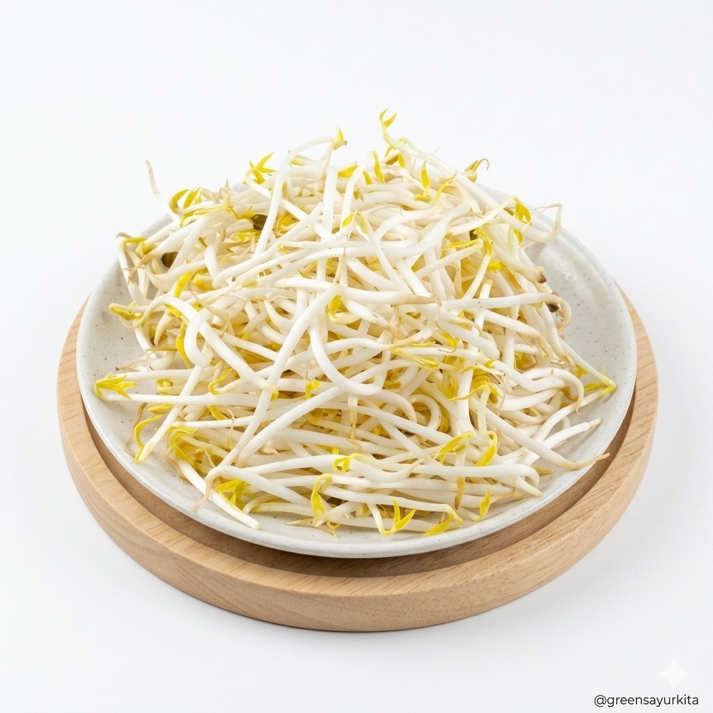 Tauge / Toge Segar Sayur Toge Kacang ijo Fresh Kualitas Premium sameday/instan