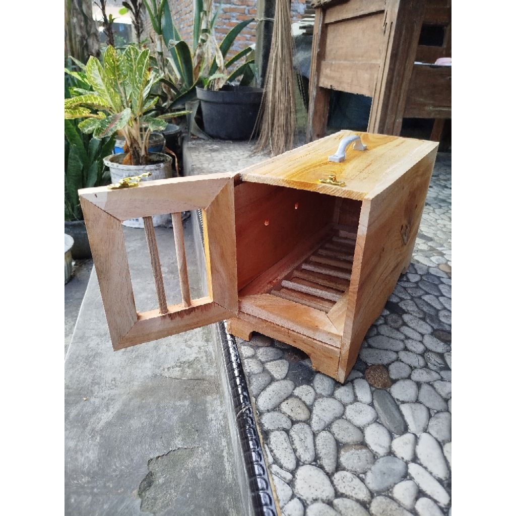 Box Merpati Dara Bok Tas Burung Merpati