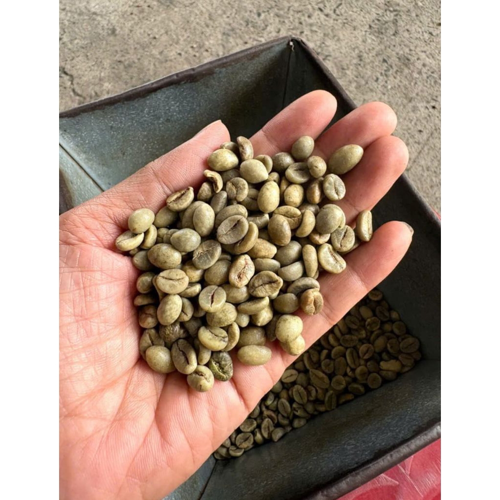 Arabica Kerinci