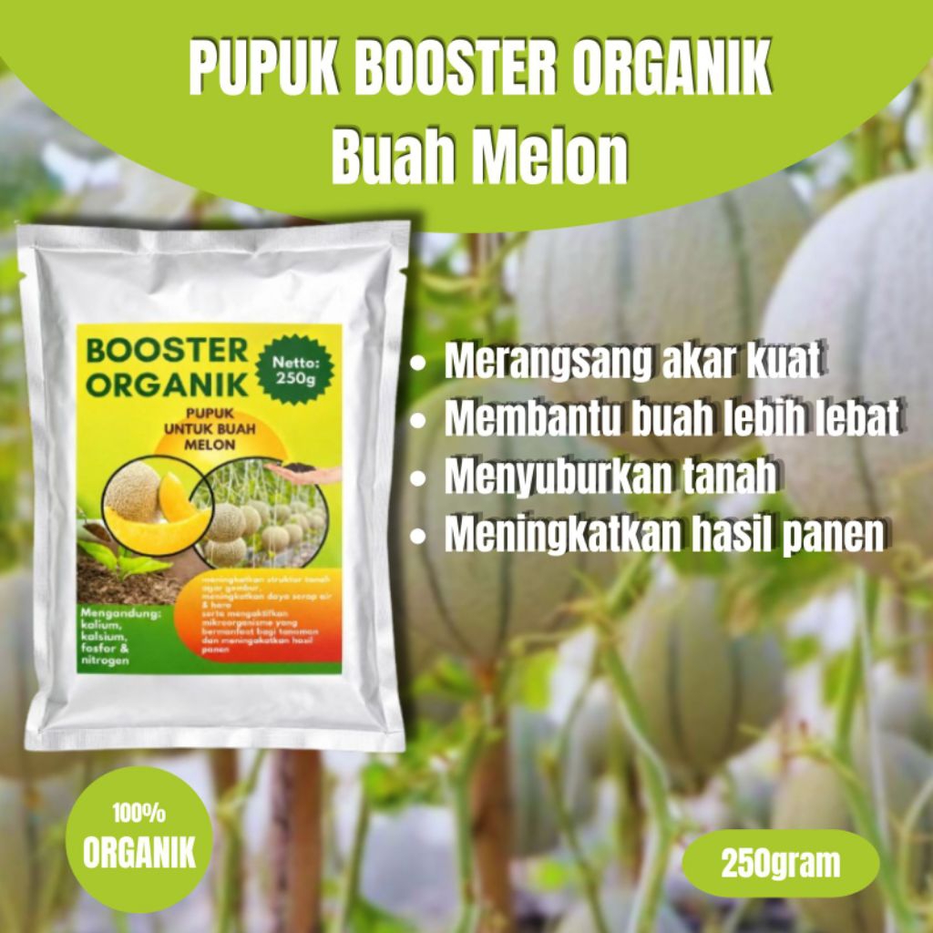 Booster Melon | Pupuk Pelebat Buah Melon | Perangsang Buah Cepat Panen