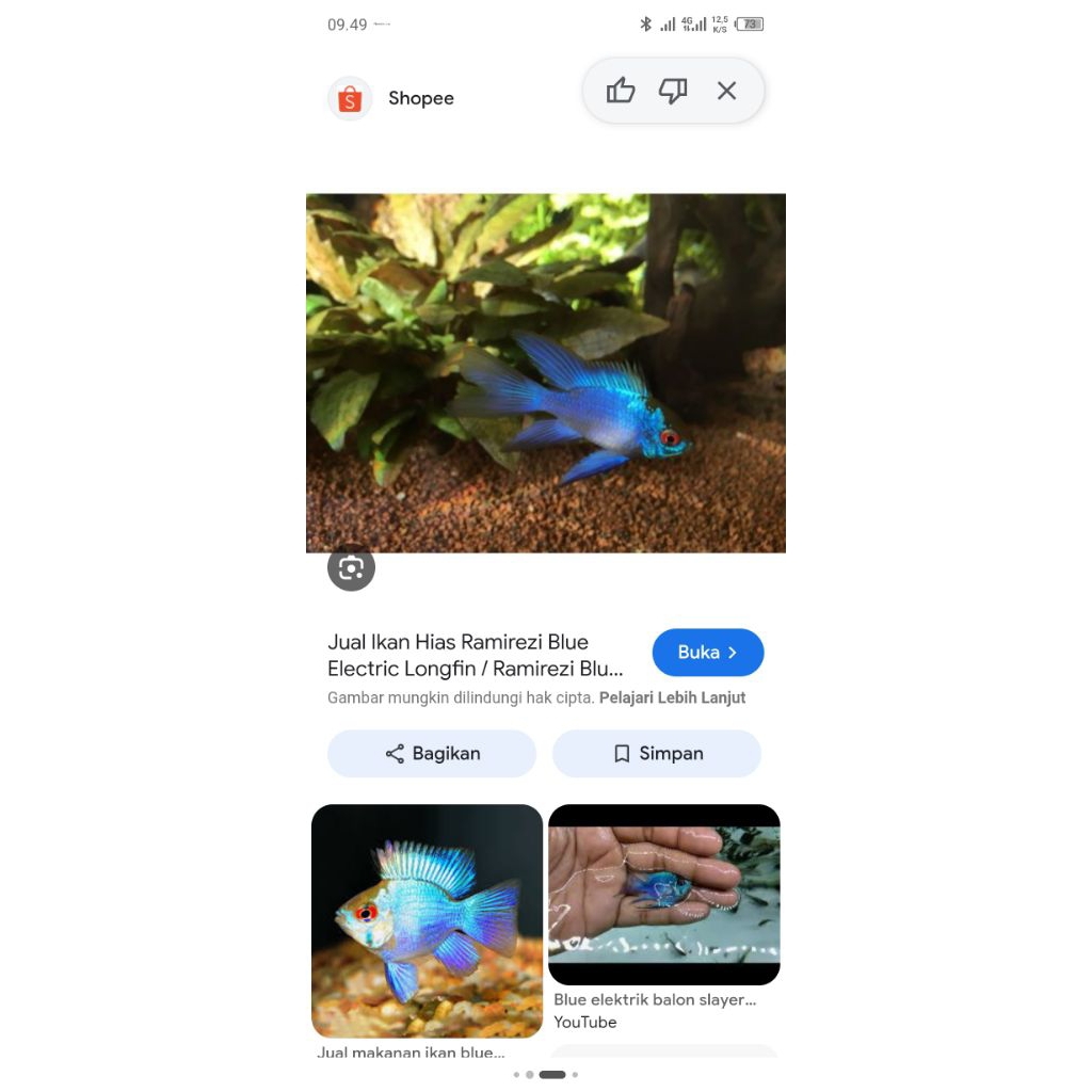 Hiasan aquarium BLUE ELEKTRIK SLAYER