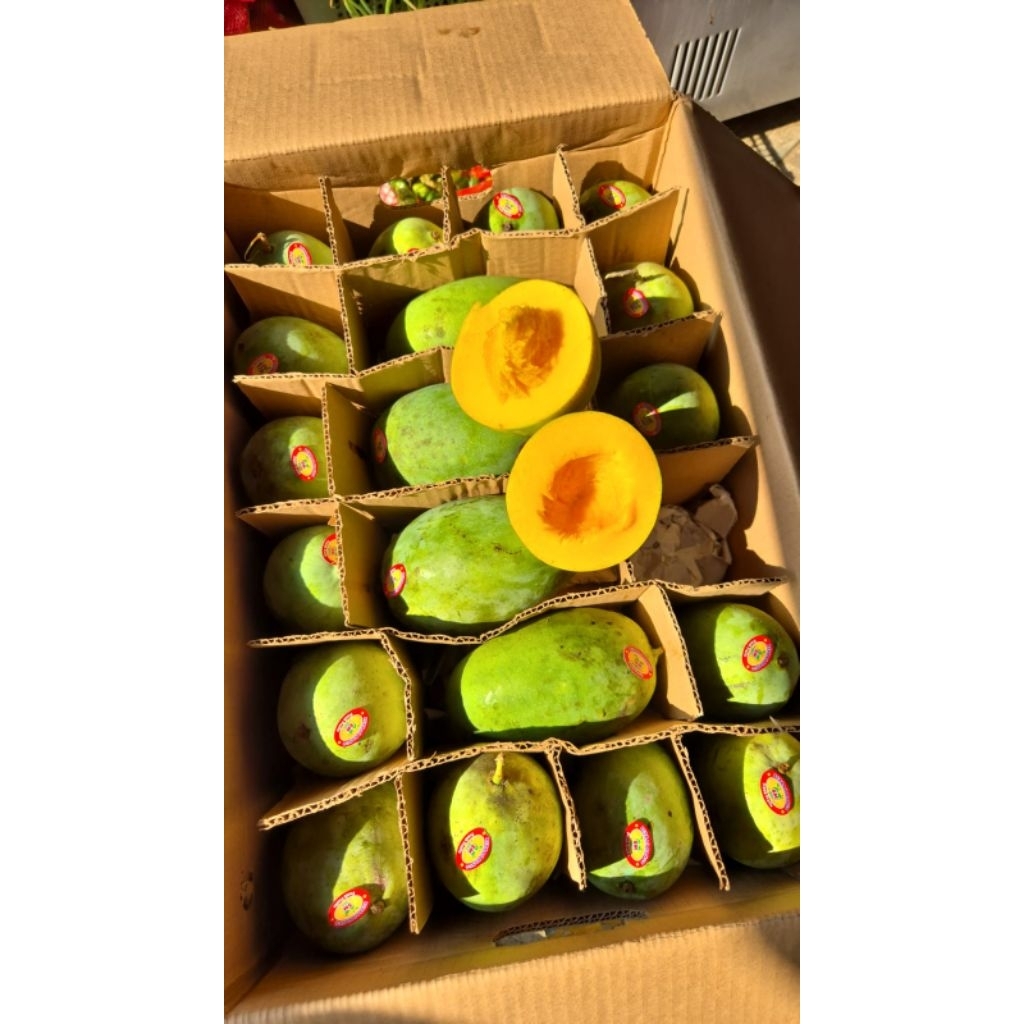 Mangga alpukat 1,1kg, banjarnegara