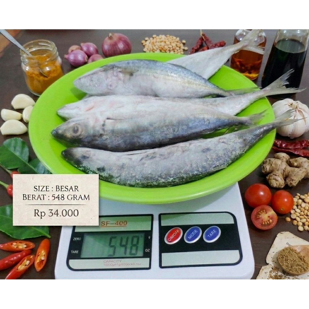 ikan sarden/layang beku segar untuk sayur