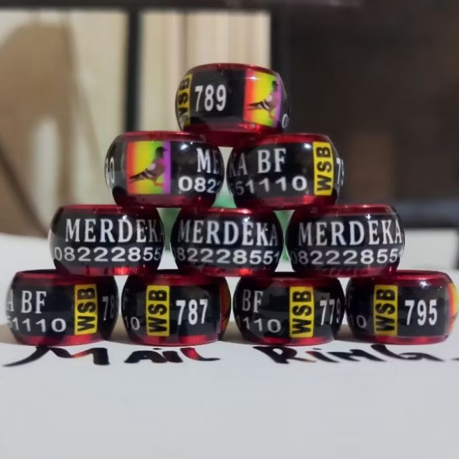 ring burung merpati  dewasa 10 mm