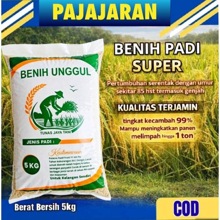 Bibit Padi Super Pajajaran Benih Unggul Kualitas Terjamin