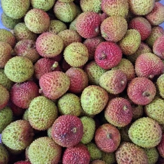 Buah Lychee madu import super manis / buah leci madu super import / kg