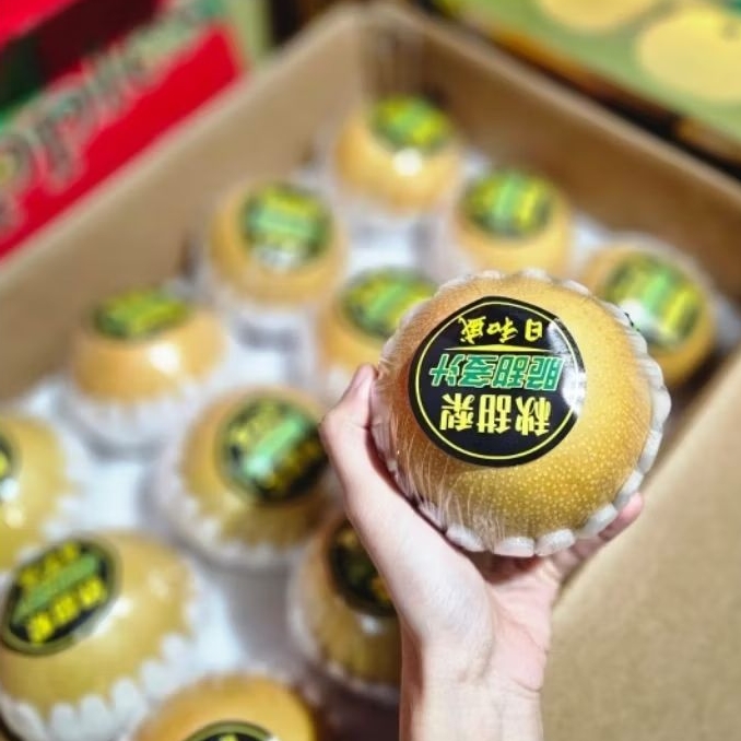 Pir Singo Pir Korea 1kg Buah Segar Bekasi