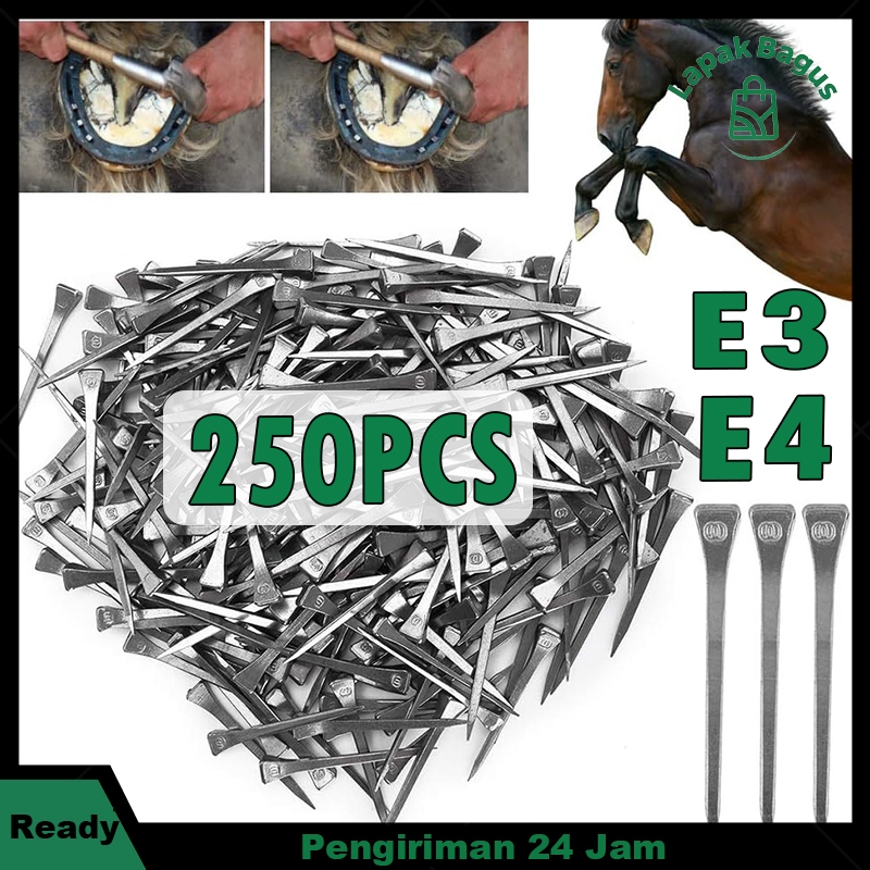 E3/E4 PAKU TAPEL KUDA GLOBAL Paku Tapal Kuda Stainless Paku Sepatu Kuda Horse Nail Ori