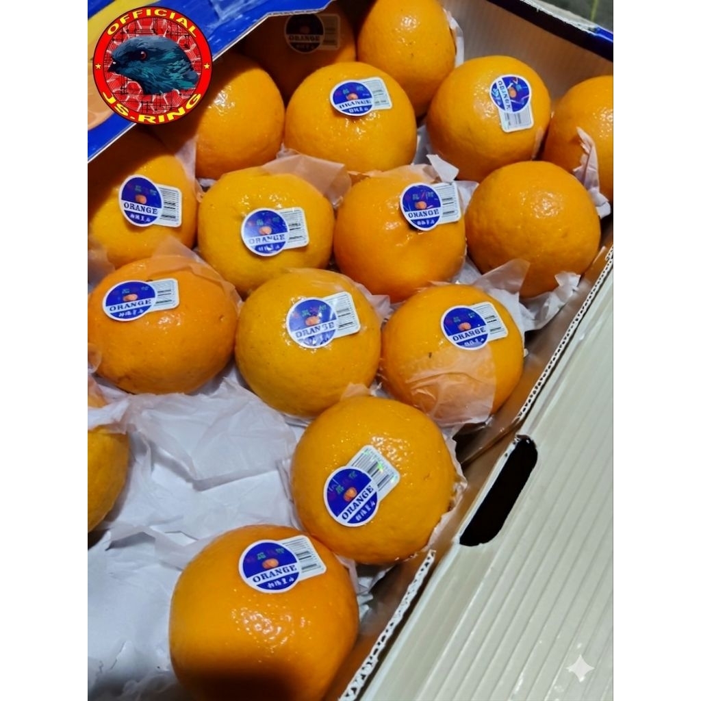 Jeruk Mandarin wogan premium Cilacap