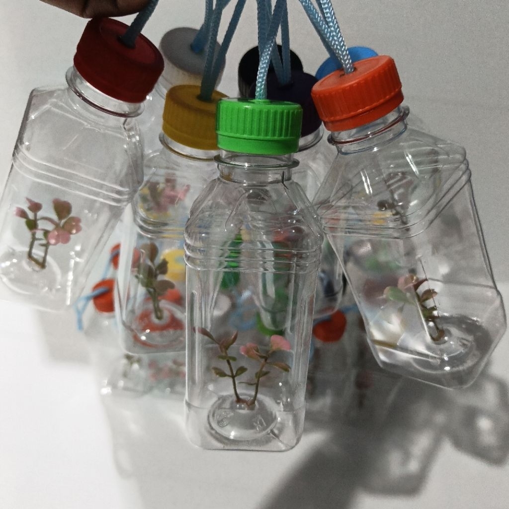 AQUARIUM mini botol ikan cupang & ikan kecil lain nya