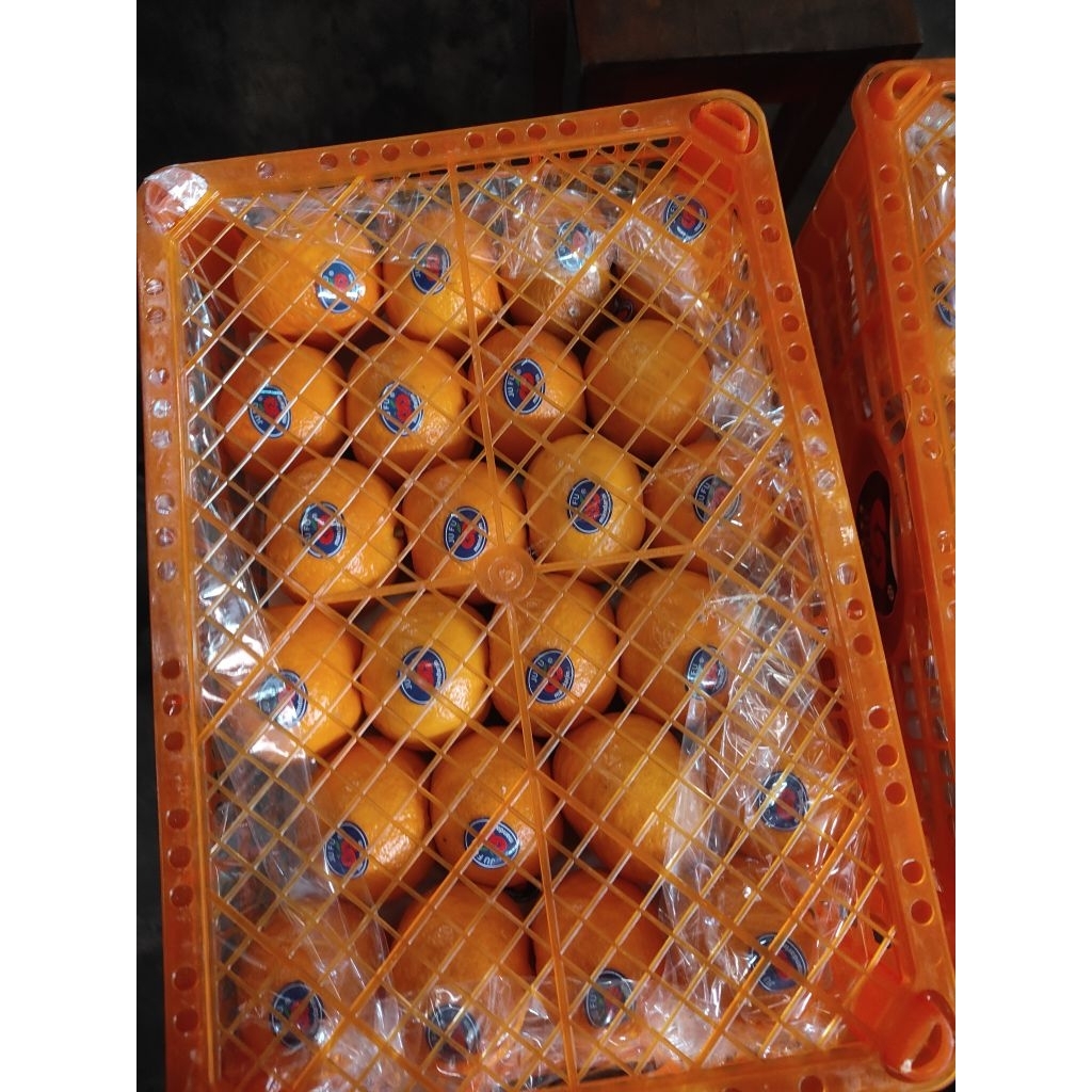 [PREMIUM] Jeruk Wugan  segar manis / jeruk mandarin import