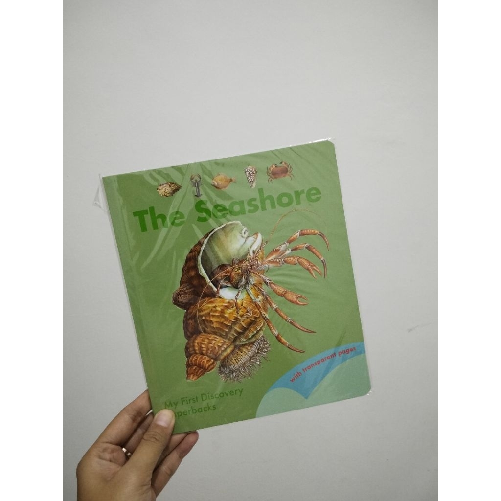 My First Discovery (MFD) The Seashore