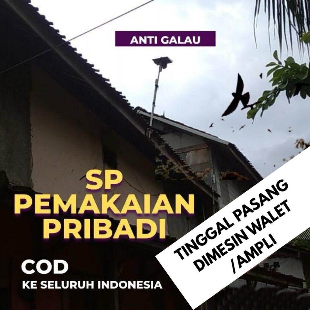 PAKET SUARA WALET PANGGIL + INAP | SUARA WALET SUPER RESPON DAN TERBUKTI | SUARA PANGGIL BURUNG WALE