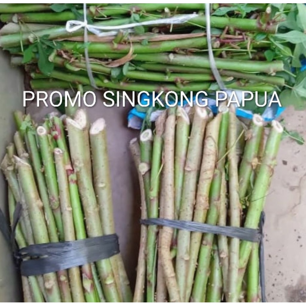 Singkong Papua