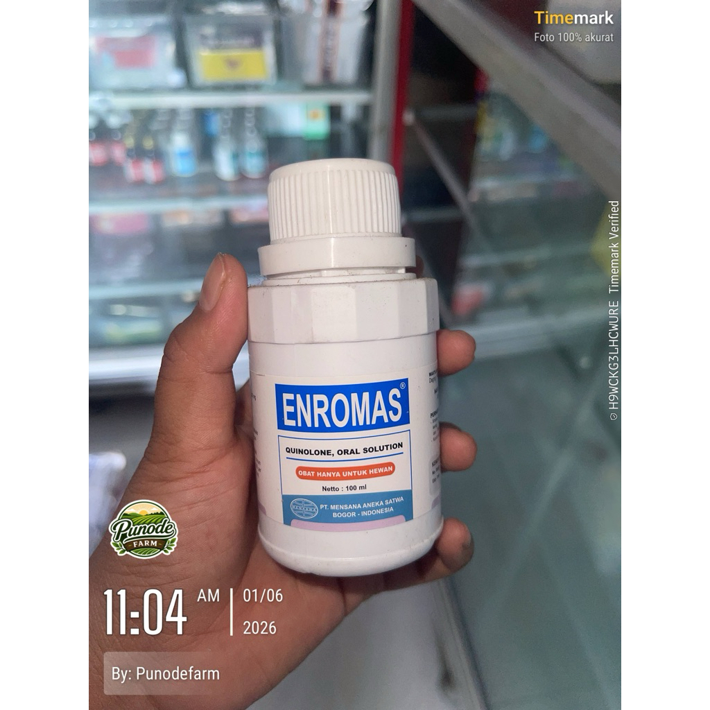 ENROMAS mengandung antibiotik golongan l untuk membunuh kuman (CRD) dan kuman penyebab infeksi sekun