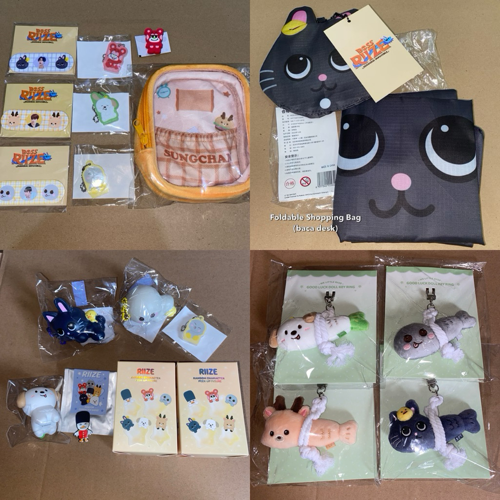 READY INA | MD RIIZE WE LITTLE RIIZE DOLL