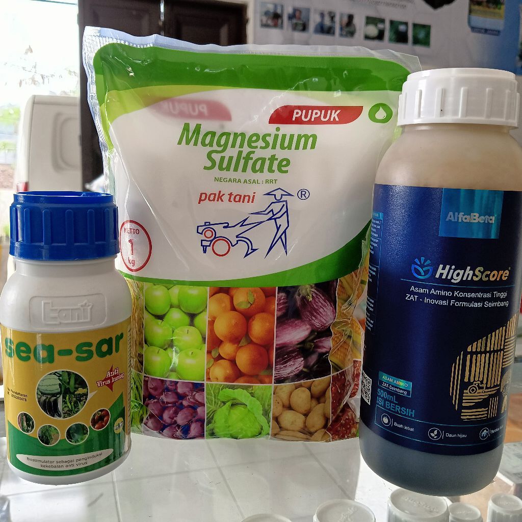 PAKET VIRUS GEMINI | Obat Kuning Cabai
