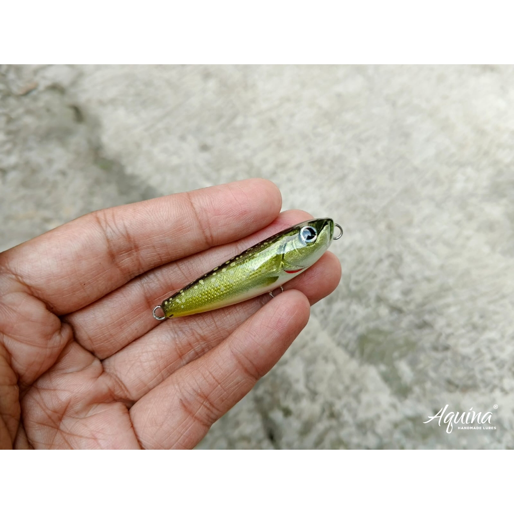 Aquina Lures Floating WTD 5cm Warna Brook Trout